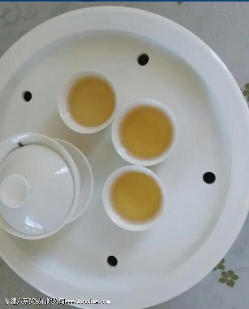 单丛茶是红茶还是绿茶 单丛茶是红茶还是绿茶