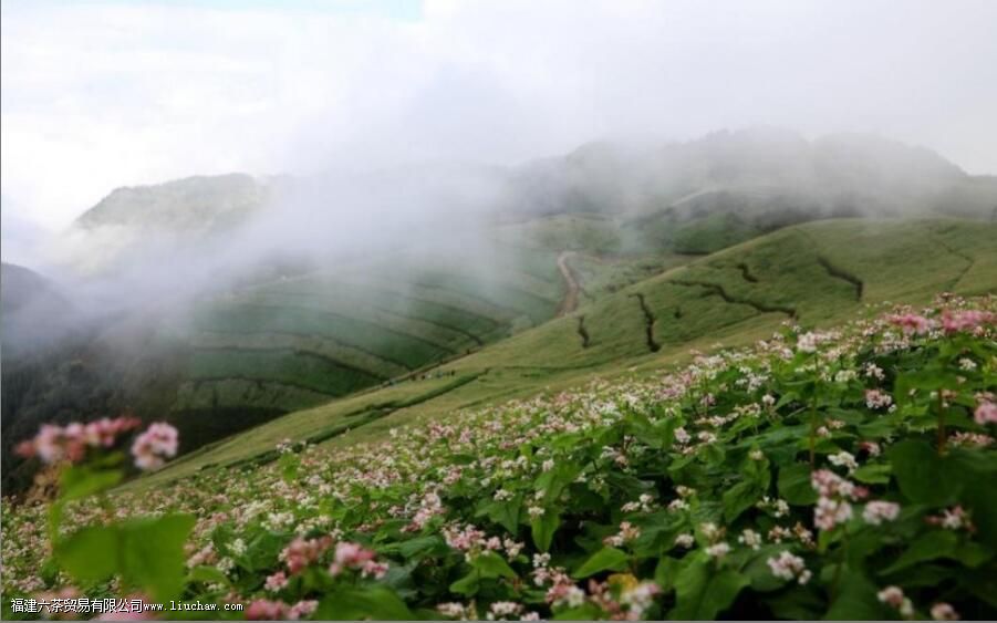 ����Ĳ���