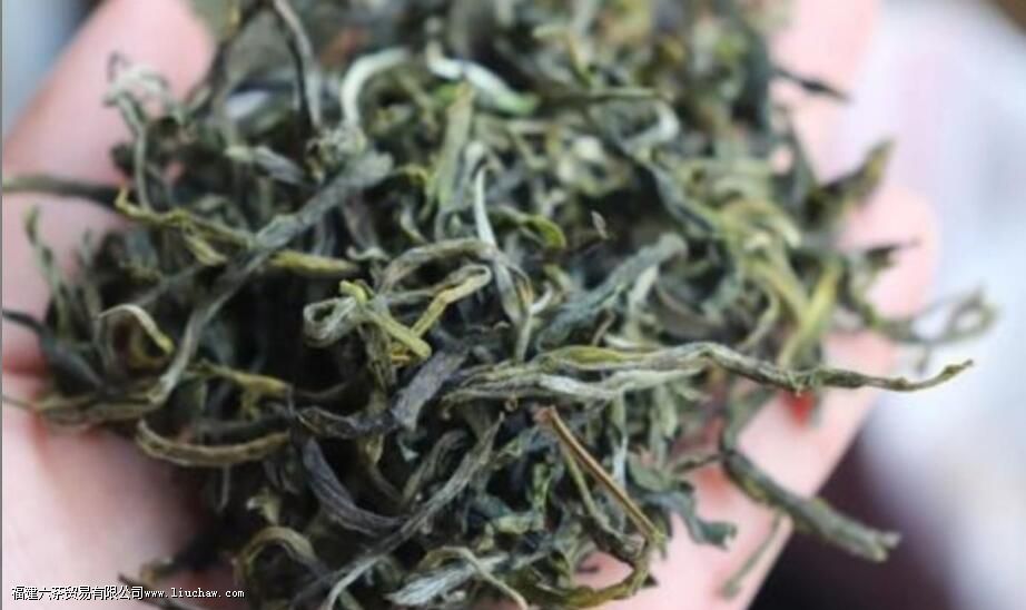 滇绿是什么茶 滇绿是什么茶