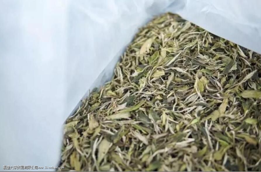 点头镇白茶特点 点头镇白茶特点