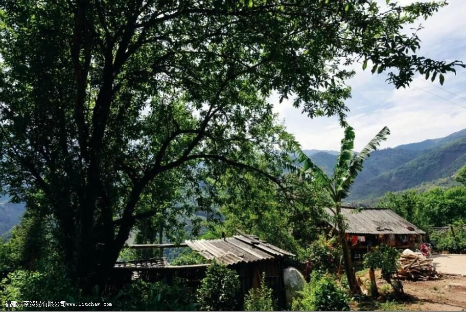 �����ն�����ص�