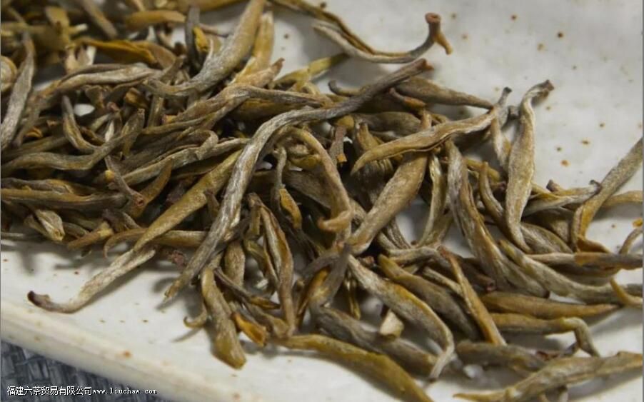 对于茶叶的一些基本知识,很多人都被流言误导了 对于茶叶的一些基本知识,很多人都被流言误导了