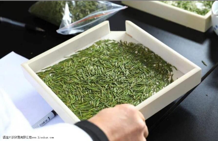 峨眉雪芽和竹叶青茶的区别 峨眉雪芽和竹叶青茶的区别