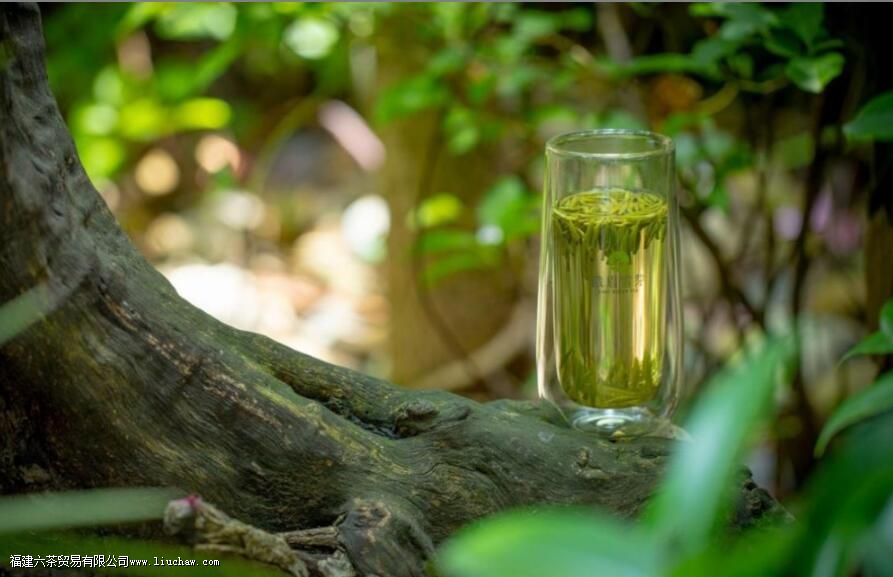 峨眉雪芽和竹叶青茶的区别 峨眉雪芽和竹叶青茶的区别