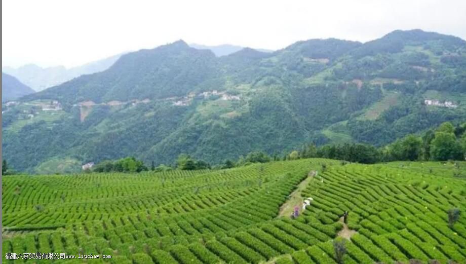 ��ʩ��¶������ë�������