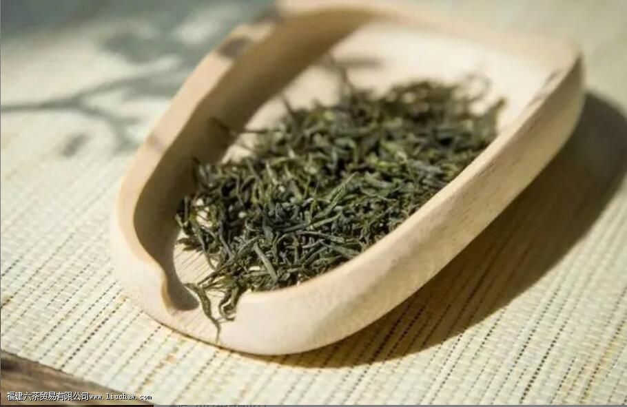 ��ʩ��¶����ʲô����