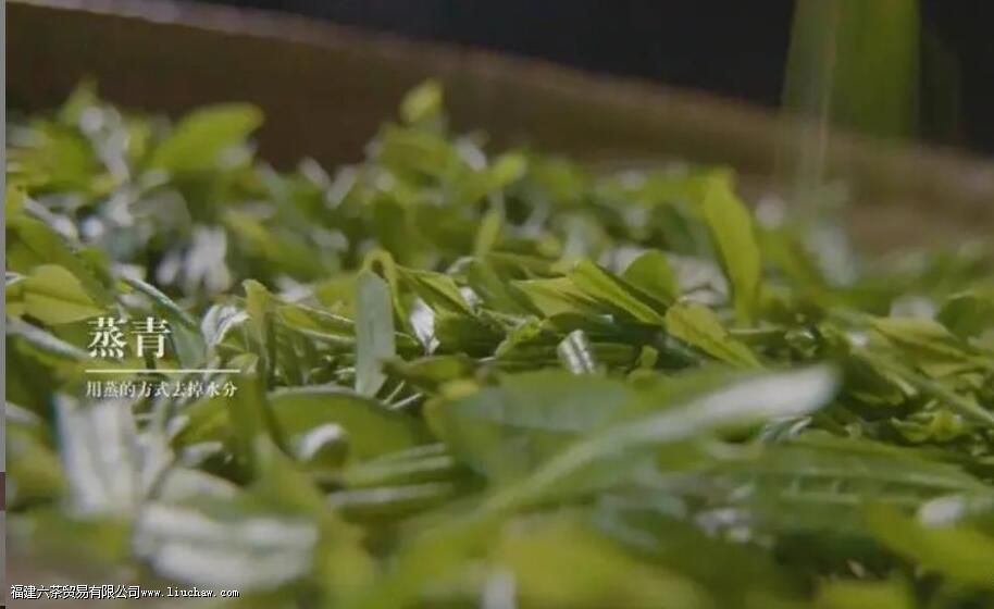 ��ʩ��¶����ʲô����