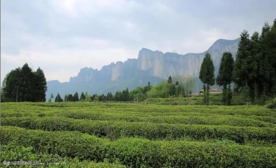 ��ʩ��¶����ʲô����