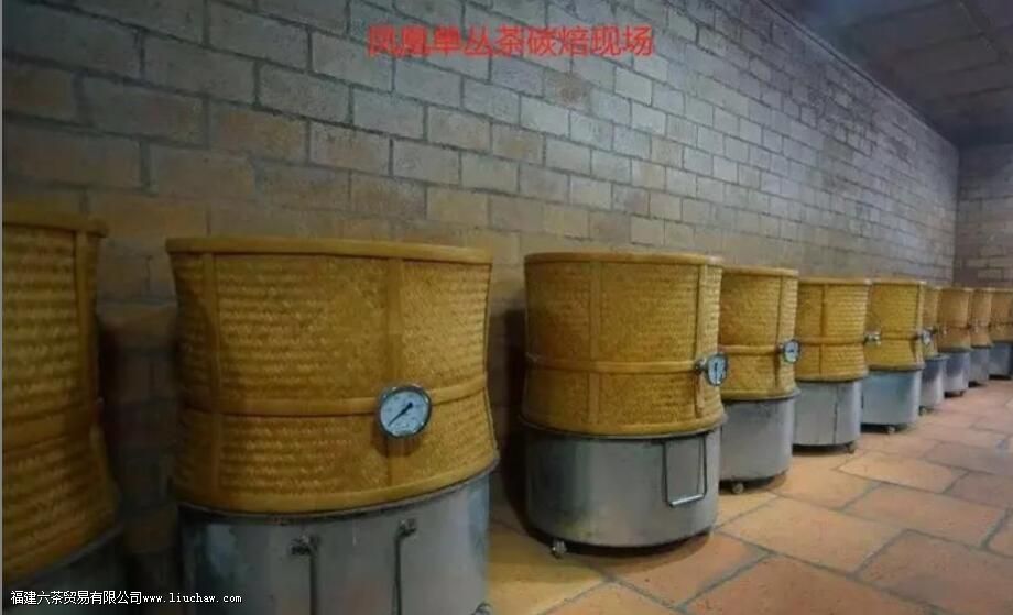 凤凰单枞是半发酵吗 凤凰单枞是半发酵吗