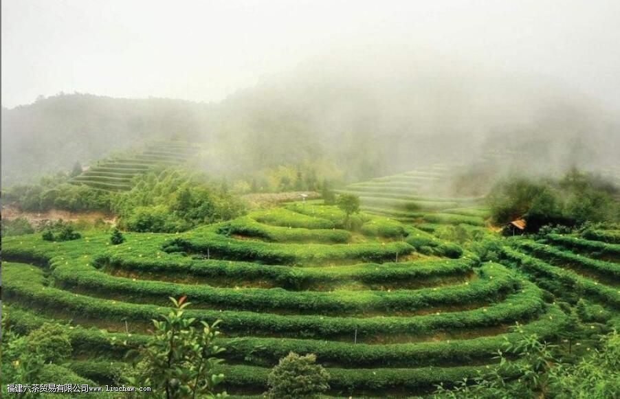 �����ײ�����ʲô��