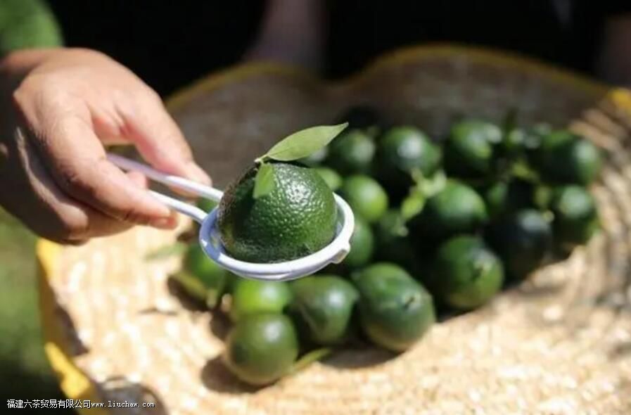 按照110毫升的标准盖碗而言,泡白茶,投茶5克; 泡红茶,投茶5克; 泡岩茶,投茶8克; 泡生普,投 按照110毫升的标准盖碗而言,泡白茶,投茶5克; 泡红茶,投茶5克; 泡岩茶,投茶8克; 泡生普,投