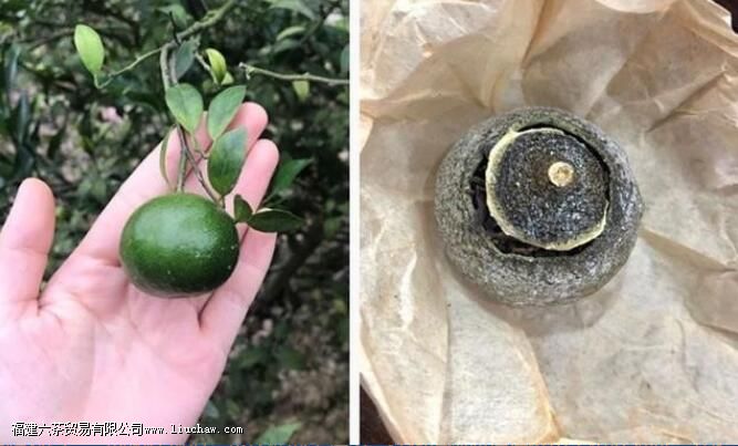 按照110毫升的标准盖碗而言,泡白茶,投茶5克; 泡红茶,投茶5克; 泡岩茶,投茶8克; 泡生普,投 按照110毫升的标准盖碗而言,泡白茶,投茶5克; 泡红茶,投茶5克; 泡岩茶,投茶8克; 泡生普,投