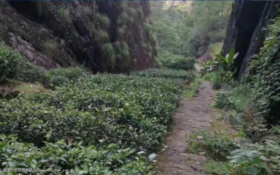 ��Ұ������ʲô��