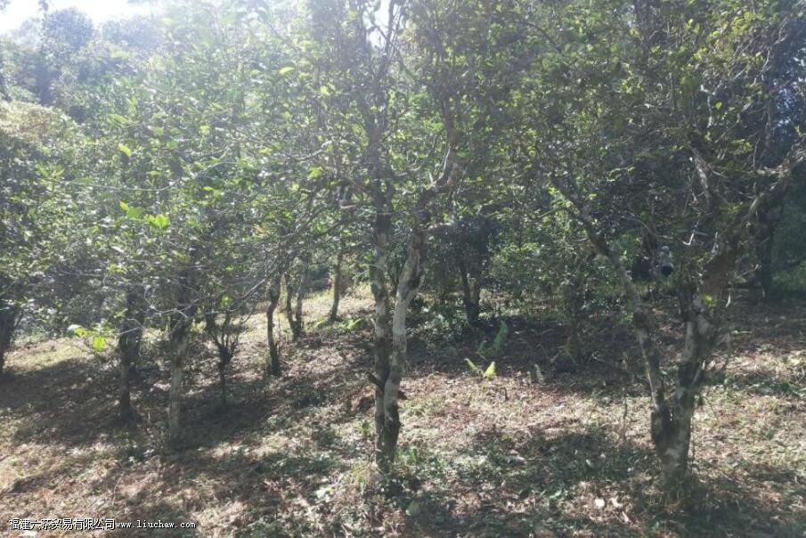 ����ն�����ص�