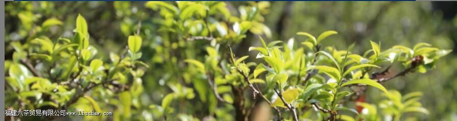 ��Ūɽ��������ص�