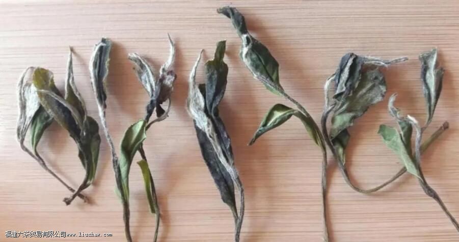 ��ü�ĵȼ����ص�