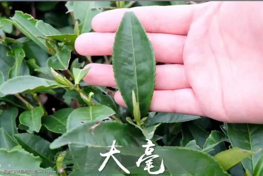 ��ü����ü��ժ��ʱ��