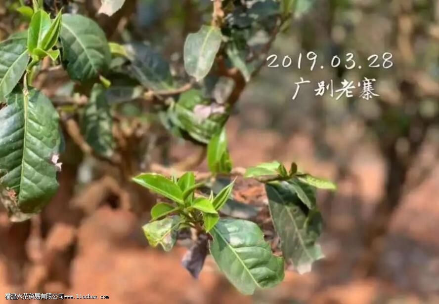 �����կ�ն�����ص�