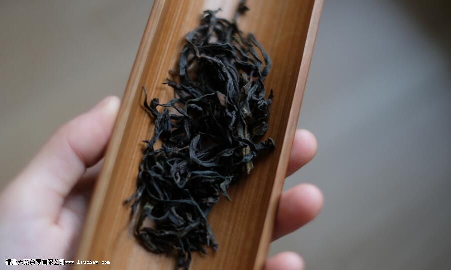 广东乌龙茶有哪些 广东乌龙茶有哪些