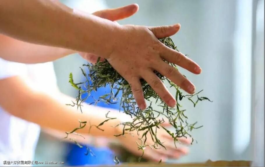 广西有哪些茶 广西有哪些茶