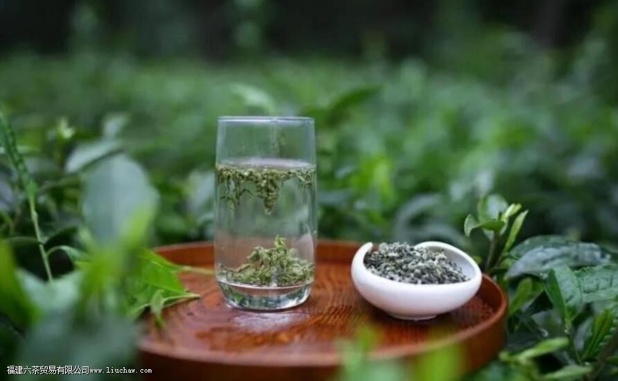 贵州产什么茶 贵州产什么茶