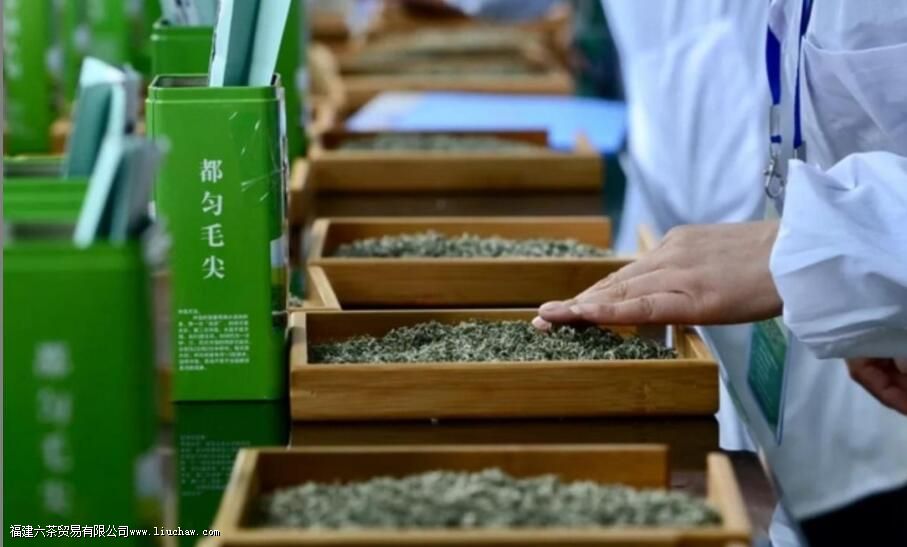 ���ݶ�����Щ��Ҷ ����ʮ������һ��