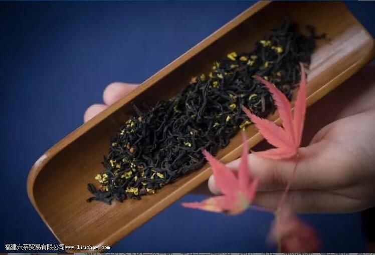 �𻨺��ͺ����ʲô����