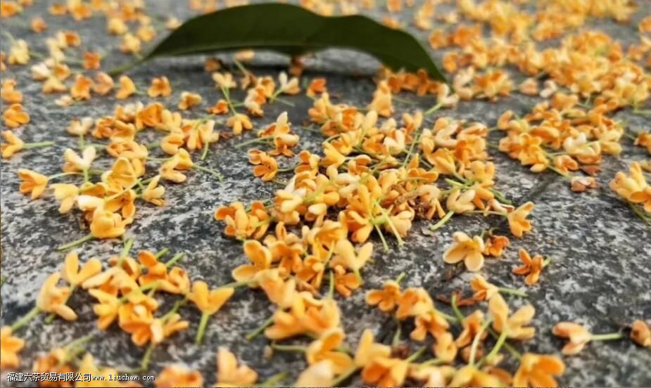 �𻨾�����÷��ʲô��