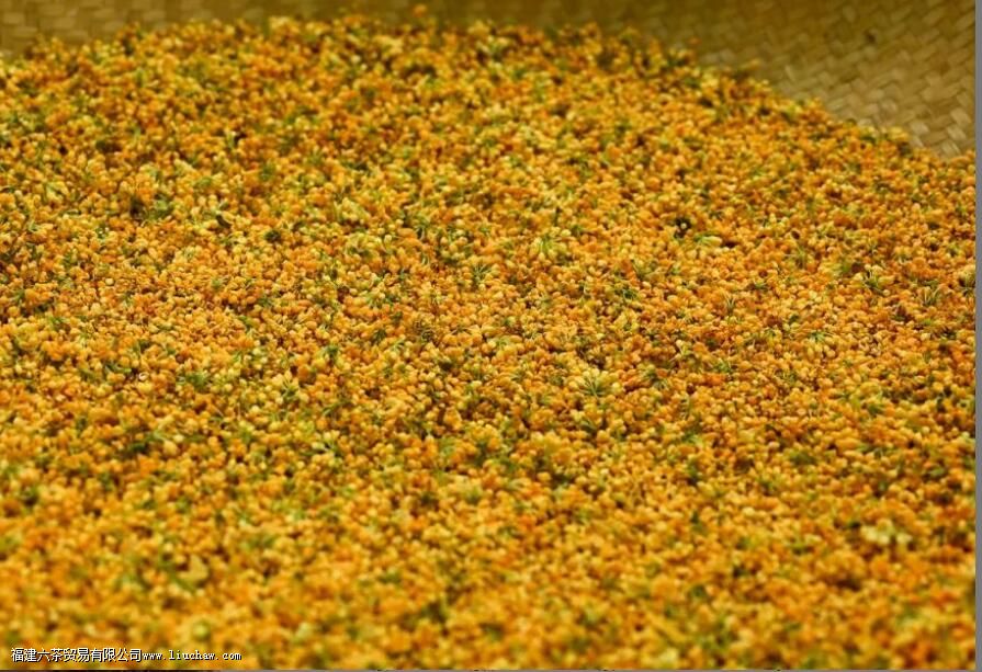 �𻨾�����÷��ʲô��