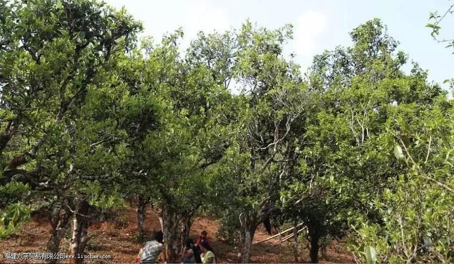 ������������ڸ��ص�