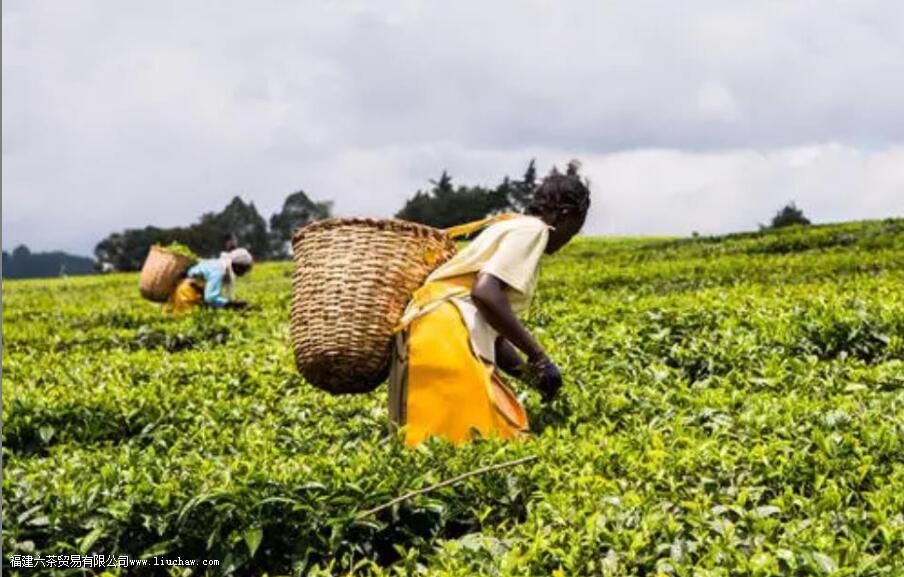 �����Ĵ��Ҷ���ڹ�����