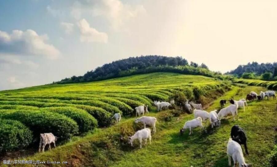 �����Ĵ��Ҷ���ڹ�����