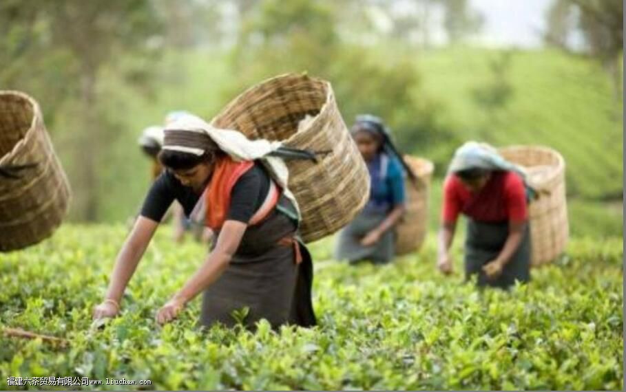 �����Ĵ��Ҷ���ڹ�����