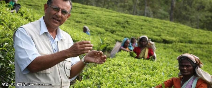 �����Ĵ��Ҷ���ڹ�����