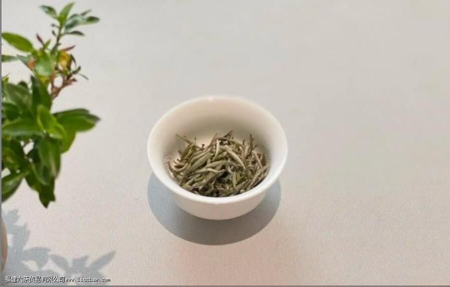 喝茶需要注意什么 喝茶的这些禁忌一定要知道 喝茶需要注意什么 喝茶的这些禁忌一定要知道