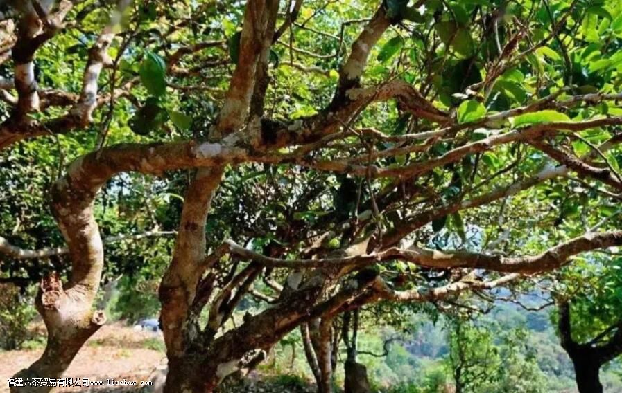 �ؿ���ɽ����Щ����