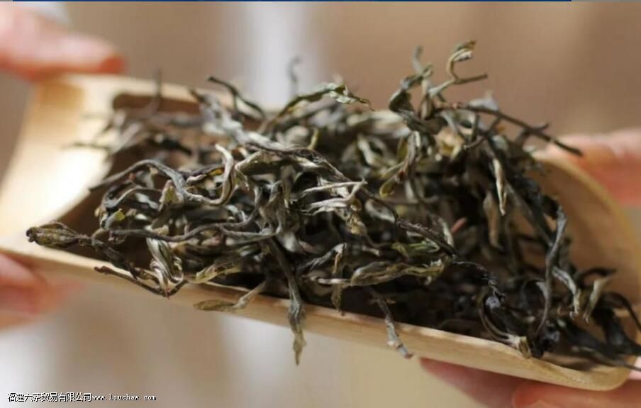 贺开古树茶的口感特点 贺开古树茶的口感特点