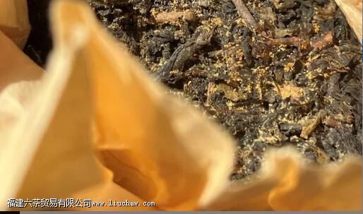 黑茶的金花是什么 金花能否判断黑茶的好坏 黑茶的金花是什么 金花能否判断黑茶的好坏