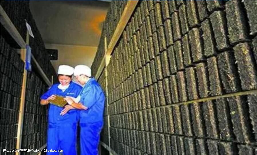 黑茶的金花是什么 金花能否判断黑茶的好坏 黑茶的金花是什么 金花能否判断黑茶的好坏