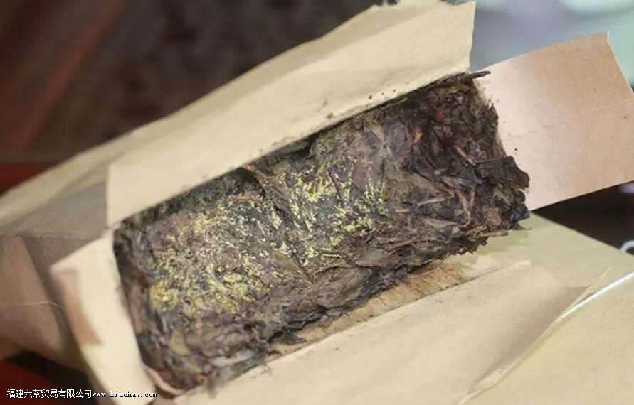 黑茶金花是什么东西 黑茶金花是什么东西