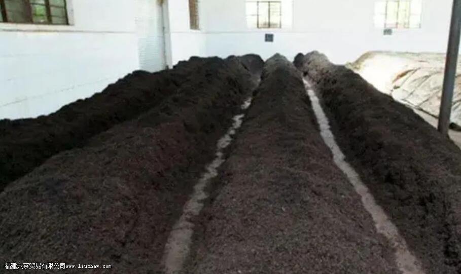 黑茶金花是什么东西 黑茶金花是什么东西