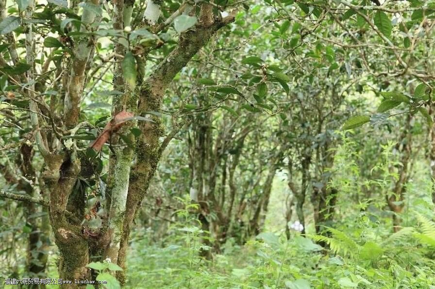 ��ˮ�����ն�����ص�