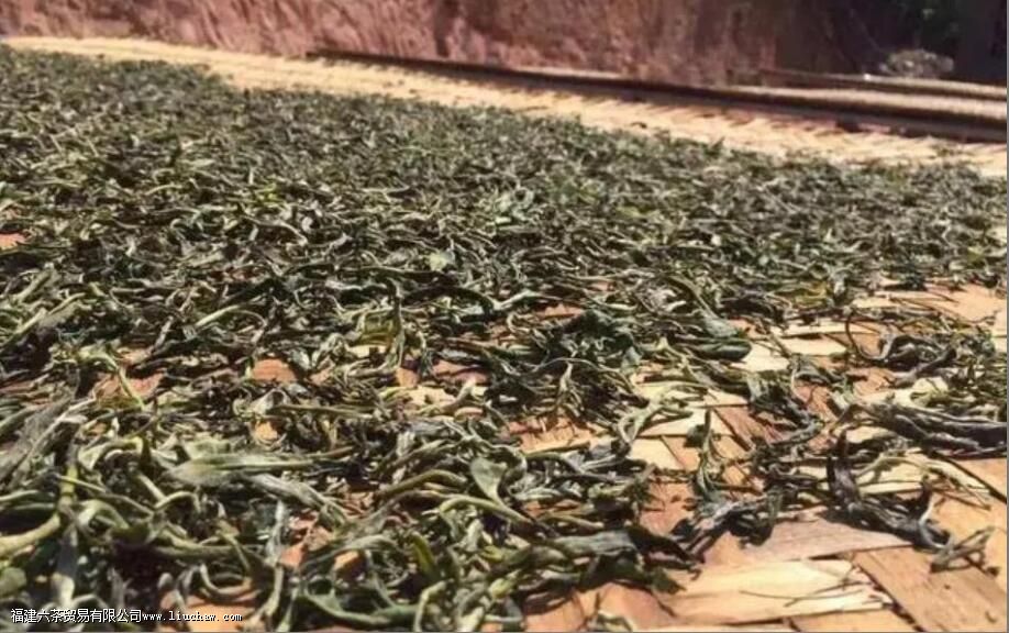 �������ɹ�����ô����