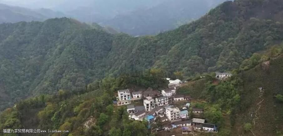 猴魁茶叶产地在哪里 猴魁茶叶产地在哪里