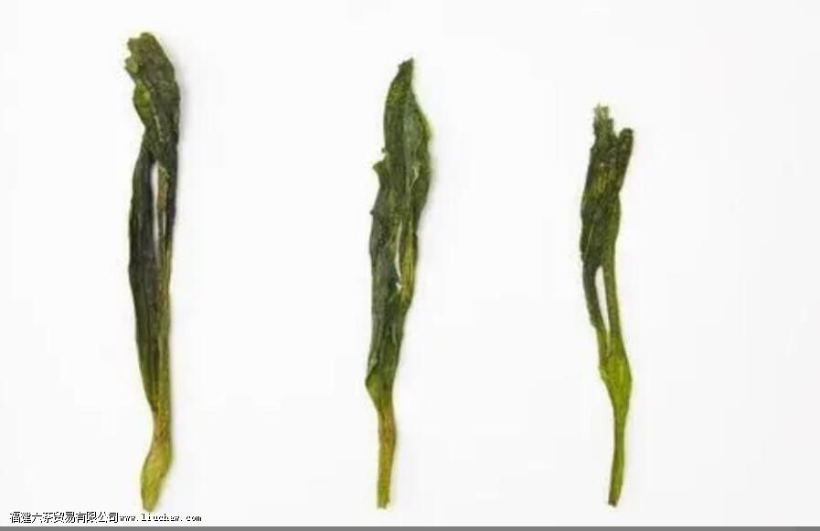 猴魁茶叶产地在哪里 猴魁茶叶产地在哪里