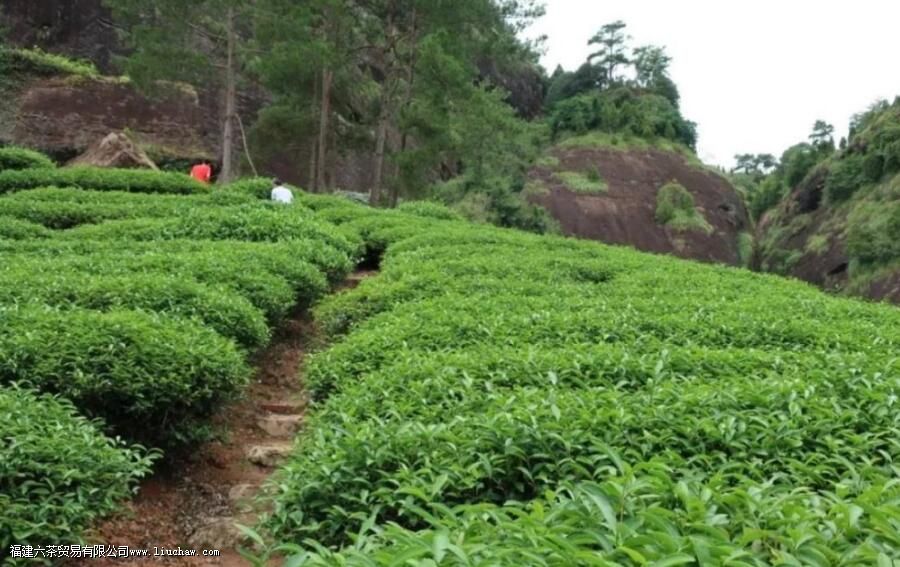 ����ָ����ʲô����ʲô�ص�