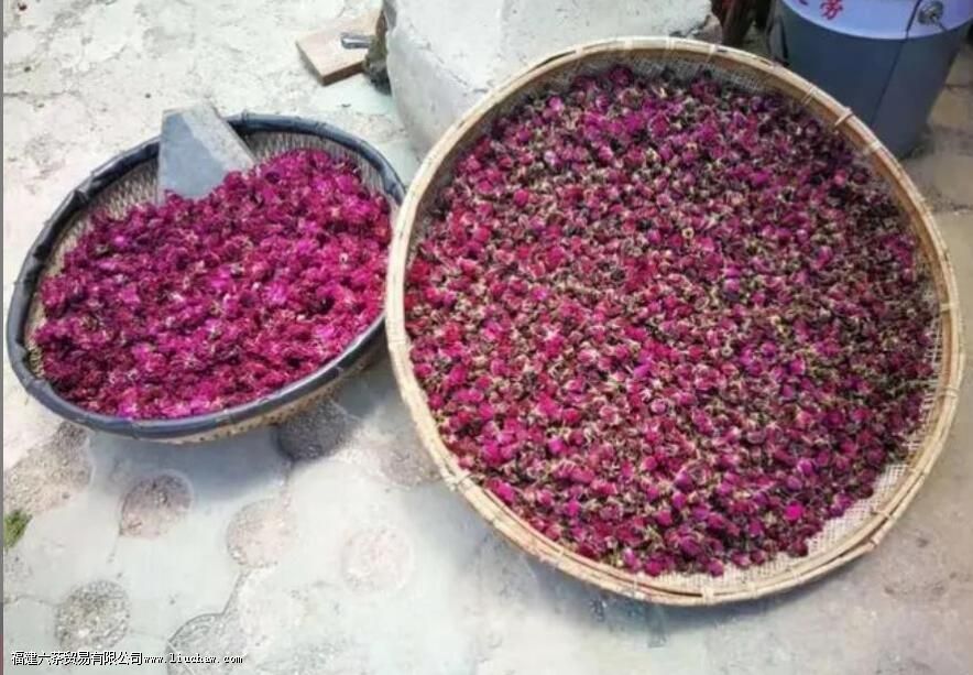 ����ͻ��ݲ���ʲô����