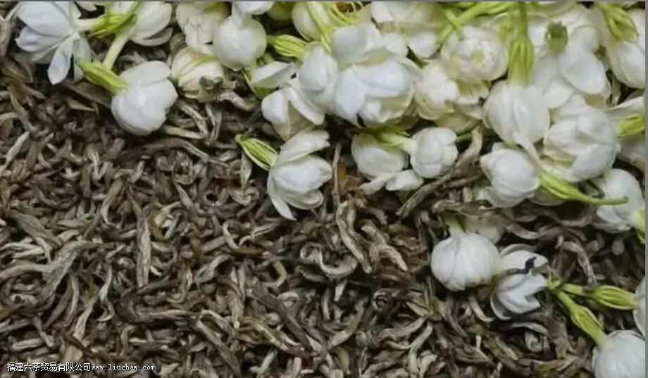 ��ë����ʲô��