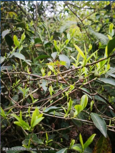 ����һ����ʲô��