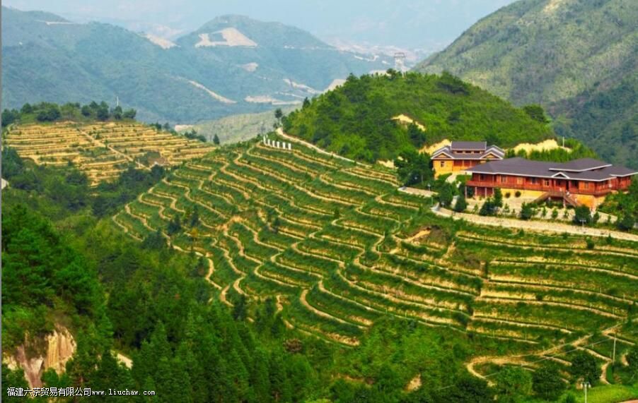 ����Է������ʲô